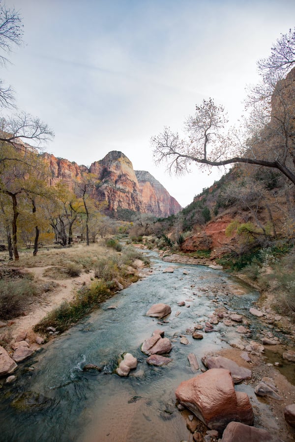 A blue river running through Zion National Park with red rock, small trees, and blue sky.