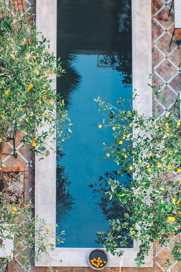A Mediterranean style luxury roof top pool likely on top of a rooftop deck surrounded by lemon trees
