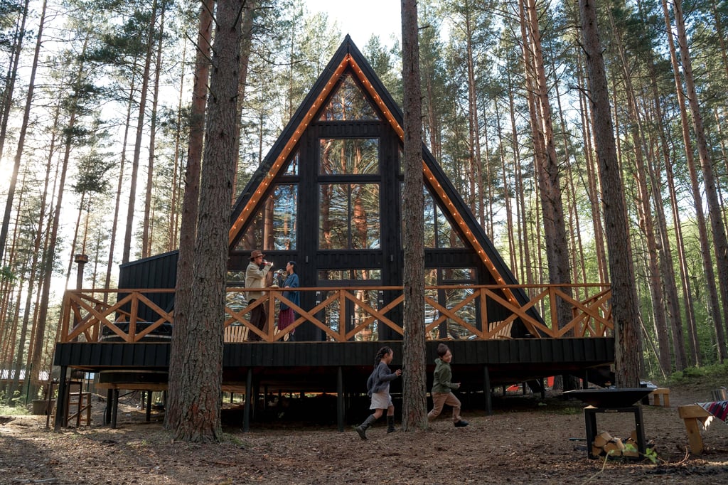 A frame house ideas