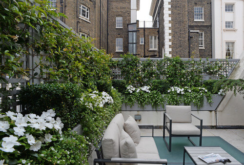 A rooftop deck terrace with patio furniture and a trellis with beautiful plants for privacy.