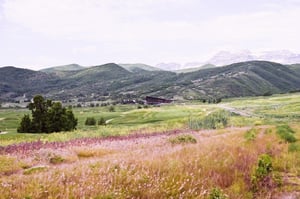 Solider Hollow-55 Large